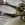 MG_0314-Edit1 MG_0314-Edit1